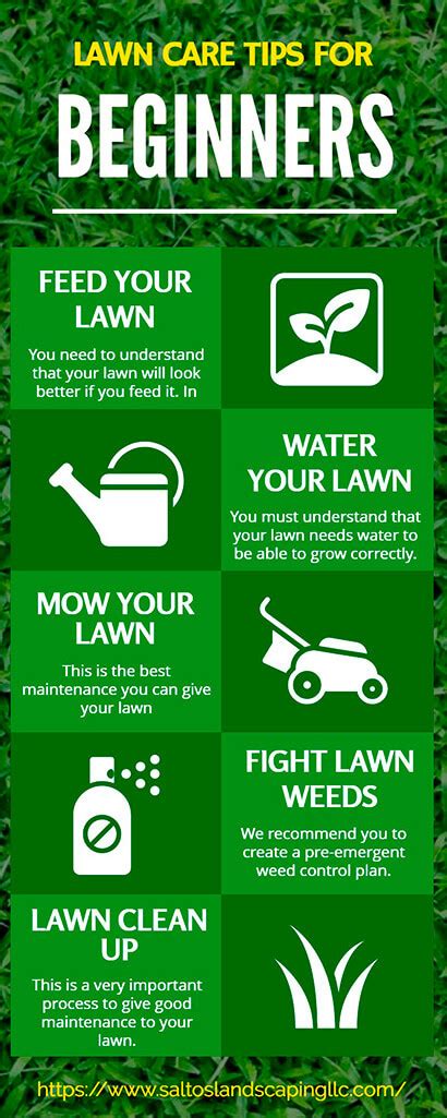 Experience the Magic Touch: Create an Extraordinary Lawn with Expert Lawn Care Tips
